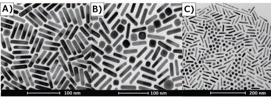 TEM’s of gold nanorods illustrating selection bias. A) Section of TEM grid indicates high purity rod synthesis. B) Different section of same grid shown by (A) indicates a large number of impurities in sample. C) TEM demonstrates shape segregation drying pattern on TEM grid. TEM’s of gold nanorods illustrating selection bias