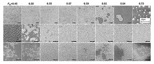 Effect of mole fraction of styrene (FSt) in a P(S-r-MMA) brush on the orientation of self-assembled films of PS-b-PMMA. The rows of top-down SEM images correspond to lamellae forming (top), PMMA cylinder forming (middle), and PS cylinder forming (bottom) PS-b-PMMA. Black scale bars correspond to 200 nm. Reprinted with permission from ACS. Effect of mole fraction of styrene