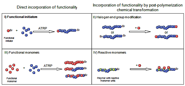 Methods of incorporating functionality into polymers using ATRP.