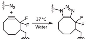 SPAAC between an azide and a difluorocyclooctyne eliminates the need for a copper catalyst and allows material fabrication under physiological conditions. SPAAC between an azide and a difluorocyclooctyne eliminates the need for a copper catalyst and allows material fabrication under physiological conditions.