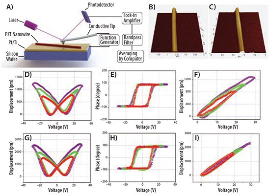 Schematics of piezoelectric force microscopy (PFM) testing setup