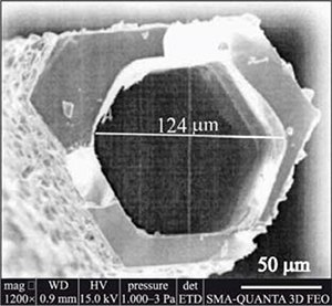 SEM micrograph of CrSi2 tubes obtained