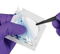 Using sterile forceps, peel back the film and separate the blue paper from the membrane. Remove the membrane with the forceps. Using sterile forceps