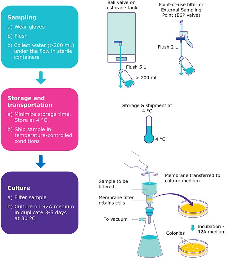 Steps to assess the level of bacteria in purified water