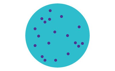 A petri dish with scattered bacterial colonies. A petri dish with scattered bacterial colonies.