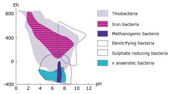 Distribution graphs of bacterial groups based on pH and Eh levels A graph illustrating the distribution of various bacterial groups, including Thiobacteria, Iron bacteria, Methanogenic bacteria, Denitrifying bacteria, Sulphate-reducing bacteria, and anaerobic bacteria, across different pH levels and redox potential (Eh).