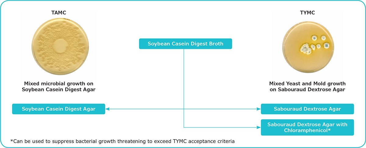 Diagram: Microbial Enumeration Tests