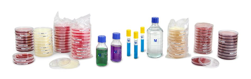 Ready to use solid and liquid culture media for microbial testing in pharmaceutical industry. A collection of ready to use microbial culture media, including stacked Petri dishes in various colors, and several bottles of liquid culture media, arranged on a white background.