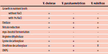 Typical biochemical reactions