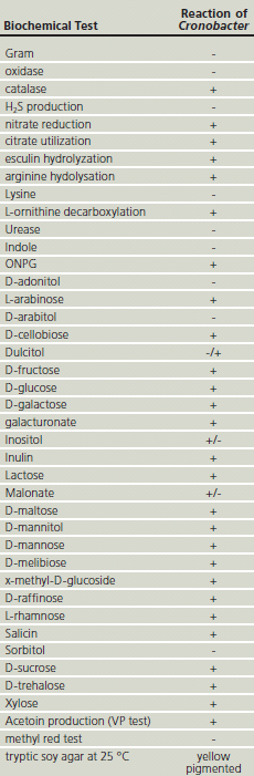 Biochemical reactions from Cronobacter spp.