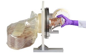 A gloved hand is placing a stack of petri dishes into a large autoclave, with a clear plastic bag partially visible, showcasing the contents being handled in a sterile manner. A gloved hand is placing a stack of petri dishes into a large autoclave, with a clear plastic bag partially visible, showcasing the contents being handled in a sterile manner.