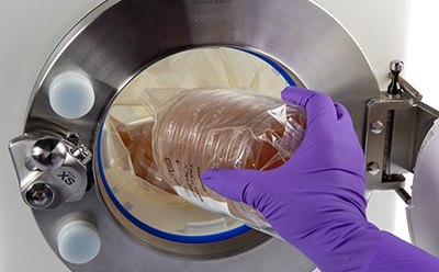 A gloved hand is placing a sealed bag containing a stack of petri dishes into a large autoclave chamber, which has a circular opening and metallic edges, indicating a sterile environment. A gloved hand is placing a sealed bag containing a stack of petri dishes into a large autoclave chamber, which has a circular opening and metallic edges, indicating a sterile environment.