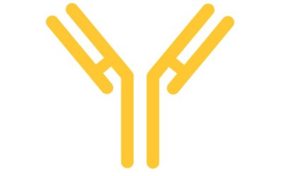 monoclonal antibody (mAb)