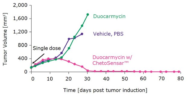 Tumor regression with DAR 2 ChetoSensar™-duocarmycin ADC Xenograph model demonstrates notable tumor regression with DAR 2 ChetoSensar™-duocarmycin ADC compared to ADC without ChetoSensar™