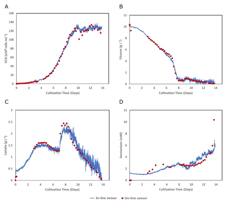 In-line Raman sensor data measuring viable cell density (VCD) (A), glucose (B), lactate (C), and ammonium (D) was comparable to automated sampling on-line data with the MAST<sup>®</sup> Autosampling Solution. In-line Raman sensor measurements and on-line automated sampling of VCD, glucose, lactate and ammonium were performed during 14 days and show comparable performance in all cases.