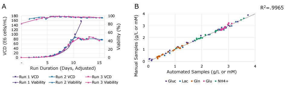Comparison of manual and automatically sampled data: A) Analysis of cell growth based on viable cell density (VCD) and viability; B) correlation of the values for lactate, glutamine, glucose, glutamate and ammonium measurements. Two graphs comparing manual and automatically sampled data. The first graph (A) compares both methods based on the measured viable cell density and viability, assessing cell growth. The second graph (B) correlates measurements of glucose, lactate, glutamine, glutamate and ammonium. Both graphs confirm good consistency and accuracy of the data sets.