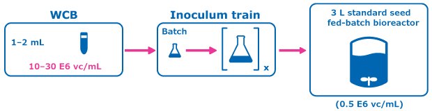 Control condition: Conventional Seed Train Figure 2 (Control condition: Conventional Seed Train) shows the experimental plan for intensified upstream case study evaluation comparing a perfused N-1 seed train utilizing a Cellicon® filter for cell retention to a conventional seed train in shake flasks prior to inoculation of a set of fed-batch bioreactors at 0.5E6 cells/mL.