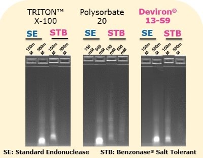 Benzonase<sup>®</sup> 내염성 엔도뉴클레아제는 polysorbate 20, Triton X-100, Deviron<sup>®</sup> C16 또는 Deviron<sup>®</sup> 13-S9를 포함하는 여러 세제와 조합되었을 때 DNA 절단 능력을 여전히 유지합니다.