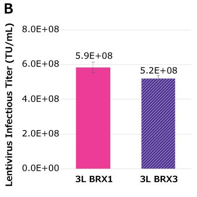 Scale-up of optimal plasmid molar ratios in Mobius<sup>®</sup> 3 L Bioreactors. Each bar represents an average of two to three dilutions of the sample plated in triplicates (n=6 or 9) and error bars are stdev. At harvest time point of 48 hours post-transfection (Day 3), VCD of 6E+06 to 7.5E+06 vc/mL was achieved in Mobius® 3 L Bioreactors (BRX) while maintaining harvest viability of > 90%. Infectious titers of 5.2E+08 TU/mL to 5.9E+08 TU/mL were obtained in two Mobius® 3L bioreactors