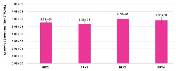 Lentivirus titers obtained in 3 L bioreactors (BRX) setup with five factors and their optimal levels identified in DoE #1. Each bar represents an average of 2-3 dilutions of the lentivirus harvest sample plated in triplicates and error bars are stdev. Scale-up of the optimal lentivirus production levels of the five factors tested in DoE #1 resulted in a range of lentivirus infectious titers from 5.3E+08 TU/mL to 6.0E+08 TU/mL across all four 3 L bioreactors.