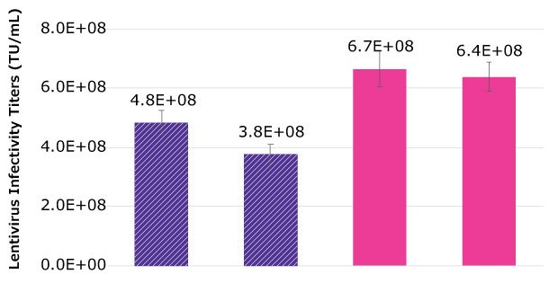 Scale-up of lentivirus production in Mobius®<sup>®</sup> 50 L Bioreactors (purple bars) and shake flasks (pink bars) as controls. Each bar represents an average of two to three dilutions of the sample plated in triplicates (n=6 or 9) and error bars are standard deviation. Lentivirus infectivity titer was as high as 4.8E+08 TU and as low as 3.8E+08 TU in the 50 L bioreactors. Shaker flasks had a titer at 6.7E+08 and 6.4E+08 TU.