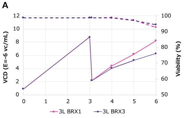 At harvest time point of 48 hours post-transfection (Day 6), VCD of 6E+06 vc/mL to ~8E+06 vc/mL was achieved in Mobius<sup>®</sup> 3 L Bioreactors (BRX) (solid lines) while maintaining harvest viability of > 90% (dotted lines). Transfection was done on Day 4. At harvest time point of 48 hours post-transfection (Day 6), VCD of 6E+06 vc/mL to ~8E+06 vc/mL was achieved in Mobius<sup>®</sup> 3 L Bioreactors (BRX) (solid lines) while maintaining harvest viability of > 90% (dotted lines). Transfection was done on Day 4.