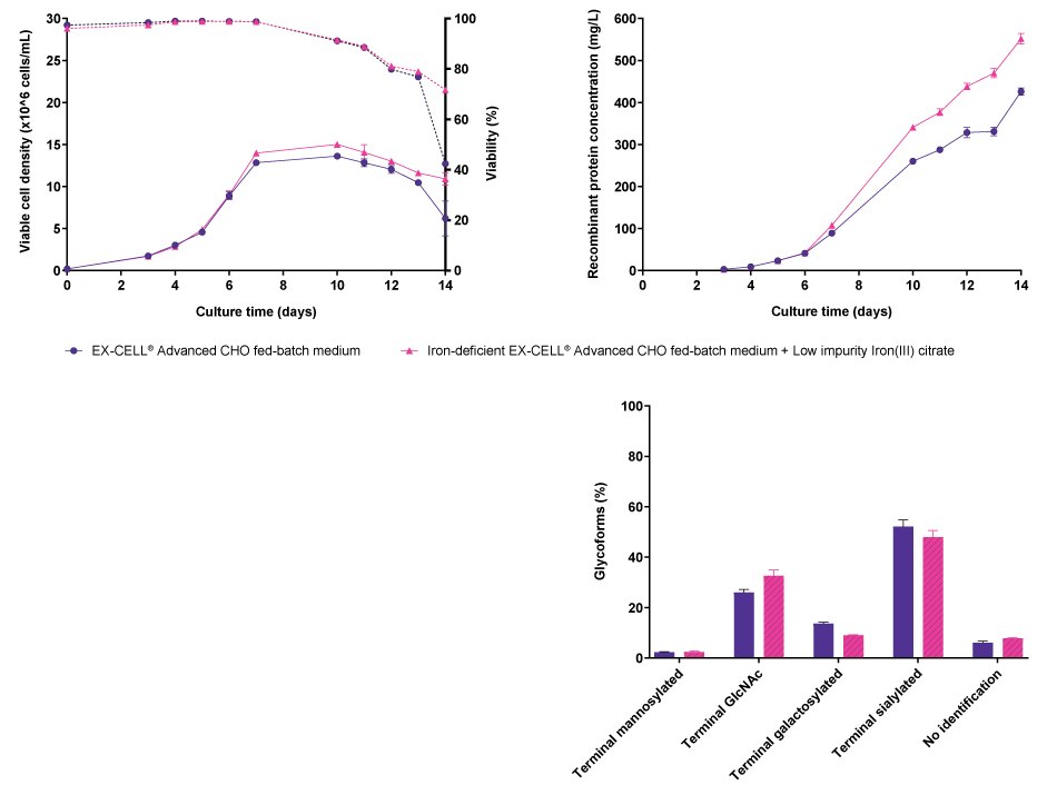 Comparison of cell line performance and CQA profiles for CHOZN<sup>®</sup> fusion protein 2 when cultured either in EX-CELL<sup>®</sup> Advanced CHO Fed-Batch medium or in iron-deficient EX-CELL<sup>®</sup> Advanced CHO Fed-Batch medium supplemented with Low impurity Iron(III) citrate for Cell Culture Media. No differences were observed in viable cell density, viability, or recombinant protein concentration for CHOZN® fusion protein 2 when cultured either in EX-CELL® Advanced CHO Fed-Batch medium or in iron-deficient EX-CELL® Advanced CHO Fed-Batch medium supplemented with Low impurity Iron(III) citrate for Cell Culture Media. However, differences were observed in the glycosylation pattern.