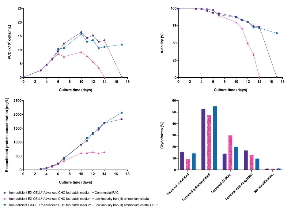 Effect of iron-containing copper impurity on cell line performance and glycosylation profile for CHOZN<sup>®</sup> fusion protein 1 when cultured in EX-CELL<sup>®</sup> Advanced CHO Fed-Batch medium supplemented either with a commercial Ferric Ammonium Citrate (FAC) iron source (high copper impurity) or with Low impurity Iron(III) ammonium citrate for Cell Culture Media. Additionally, usage of Low impurity Iron(III) ammonium citrate in EX-CELL<sup>®</sup> Advanced CHO Fed-Batch medium with an adjusted copper level as present in commercial FAC was tested. The graphical plot is modified from Weiss et al. 2022.<sup>2</sup> : Supplementing iron-deficient EX-CELL® Advanced CHO Fed-Batch medium containing Low impurity Iron(III) ammonium citrate with the same copper concentration as in iron-deficient EX-CELL® Advanced CHO Fed-Batch medium containing a Ferric Ammonium Citrate (FAC) iron source resulted in a similar cell growth curve, prolonged viability, and similar titer until day 14 of the culture. Glycosylation profiles of fusion protein 1 were also similar when the medium was supplemented with copper.