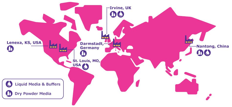 Our dry powder and liquid cell culture media and buffers manufacturing sites. A a pink world map with cell culture media production sites for dry powder and liquid media as well as buffers in Lenexa and St. Louis, USA, Darmstadt, Germany, Irvine, UK as well as Nantong, China.