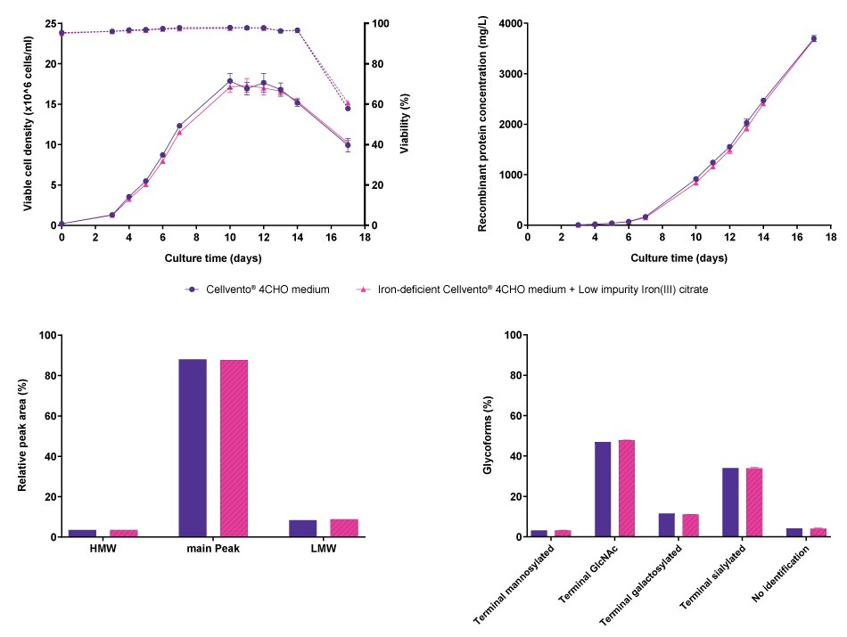 Comparison of cell line performance and CQA profiles for CHO K1 mAb5 when cultured either in Cellvento<sup>®</sup> 4CHO COMP or in iron-deficient Cellvento<sup>®</sup> 4CHO medium supplemented with Low impurity Iron(III) citrate for Cell Culture Media. Line graphs and bar charts showing results for cell line performance parameters viable cell density, viability, and recombinant protein concentration, as well as protein characteristics molecular weight, and glycoforms in CHO K1 cells producing mAb5, comparing Cellvento® 4CHO COMP and iron-deficient Cellvento® 4CHO medium supplemented with Low impurity Iron(III) citrate for Cell Culture Media. No differences were observed.