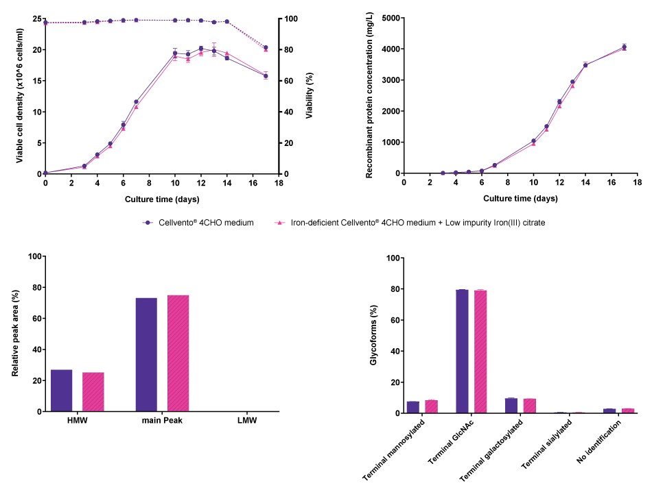 Comparison of cell line performance and CQA profiles for CHO K1 modified IgG when cultured either in Cellvento<sup>®</sup> 4CHO COMP or in iron-deficient Cellvento<sup>®</sup> 4CHO medium supplemented with Low impurity Iron(III) citrate for Cell Culture Media. Line graphs and bar charts showing results for cell line performance parameters viable cell density, viability, and recombinant protein concentration, as well as protein characteristics molecular weight, and glycoforms in CHO K1 cells producing a modified IgG, comparing Cellvento® 4CHO COMP and iron-deficient Cellvento® 4CHO medium supplemented with Low impurity Iron(III) citrate for Cell Culture Media. No differences were observed.