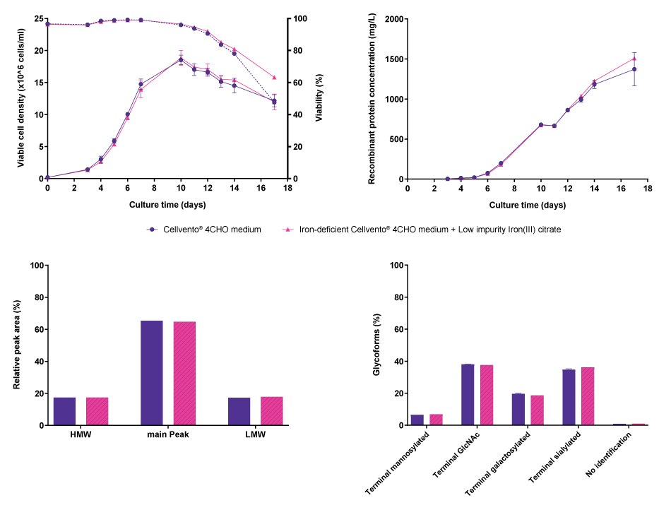 Comparison of cell line performance and CQA profiles for CHOZN<sup>®</sup> fusion protein 1 when cultured either in Cellvento<sup>®</sup> 4CHO COMP or in iron-deficient Cellvento<sup>®</sup> 4CHO medium supplemented with Low impurity Iron(III) citrate for Cell Culture Media. Line graphs and bar charts showing results for cell line performance parameters viable cell density, viability, and recombinant protein concentration, as well as protein characteristics molecular weight, and glycoforms in CHOZN® cells producing fusion protein 1, comparing Cellvento® 4CHO COMP and iron-deficient Cellvento® 4CHO medium supplemented with Low impurity Iron(III) citrate for Cell Culture Media. No differences were observed.