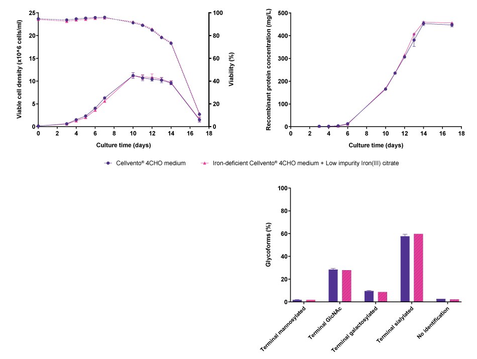 Comparison of cell line performance and CQA profiles for CHOZN<sup>®</sup> fusion protein 2 when cultured either in Cellvento<sup>®</sup> 4CHO COMP or in iron-deficient Cellvento<sup>®</sup> 4CHO medium supplemented with Low impurity Iron(III) citrate for Cell Culture Media. Line graphs and bar charts showing results for cell line performance parameters viable cell density, viability, and recombinant protein concentration, as well as protein glycoforms in CHOZN® cells producing fusion protein 2, comparing Cellvento® 4CHO COMP and iron-deficient Cellvento® 4CHO medium supplemented with Low impurity Iron(III) citrate for Cell Culture Media. No differences were observed.
