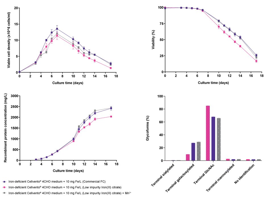 Effect of iron-containing manganese impurity on cell line performance and glycosylation profile for CHO K1 mAb1 when cultured in iron-deficient Cellvento<sup>®</sup> 4CHO supplemented either with a commercial Ferric Citrate (FC) iron source (high manganese impurity) or with Low impurity Iron(III) citrate for Cell Culture Media. Additionally, use of Low impurity Iron(III) citrate for Cell Culture Media in iron-deficient Cellvento<sup>®</sup> 4CHO with an adjusted manganese level as present in commercial FC was tested. The graphical plot is slightly modified from Weiss et al. 2021.<sup>1</sup> Line graphs and bar charts showing results for viable cell density, viability, recombinant protein concentration, and glycoforms of the CHO K1 mAb1 cell line in Cellvento® 4CHO medium with an elevated iron concentration compared to iron-deficient Cellvento® 4CHO medium supplemented with Low impurity Iron(III) citrate for Cell Culture Media and the latter with adjusted manganese level. Results show that use of commercial iron sources and low-impurity iron citrate with added manganese achieves similar results while low-impurity iron citrate without manganese addition differs in viability, protein concentration, and glycoforms.
