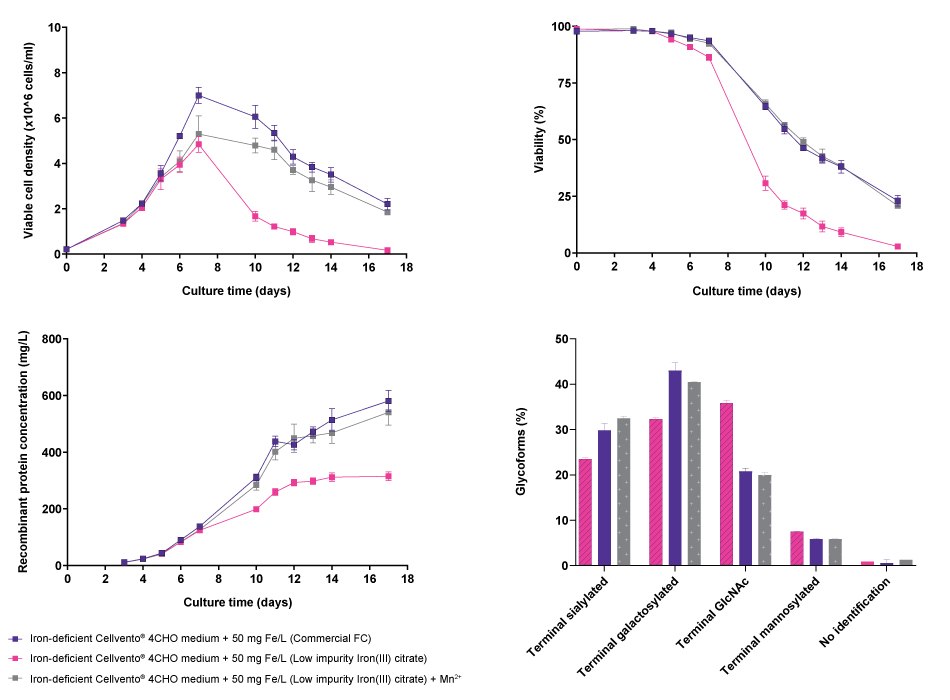 Effect of iron-containing manganese impurity on cell line performance and glycosylation profile for CHOZN<sup>®</sup> fusion protein 1 when cultured in iron-deficient Cellvento<sup>®</sup> 4CHO supplemented either with a commercial Ferric Citrate (FC) iron source (high manganese impurity) or with Low impurity Iron(III) citrate for Cell Culture Media. Additionally, usage of Low impurity Iron(III) citrate for Cell Culture Media in iron-deficient Cellvento<sup>®</sup> 4CHO with an adjusted manganese level as present in commercial FC was tested. The graphical plot is slightly modified from Weiss et al. 2021.<sup>1</sup> Line graphs and bar charts showing results for viable cell density, viability, recombinant protein concentration, and glycoforms of CHOZN® fusion protein 1 cell line in Cellvento® 4CHO medium with an elevated iron concentration compared to iron-deficient Cellvento® 4CHO medium supplemented with Low impurity Iron(III) citrate for Cell Culture Media and the latter with adjusted manganese level. Results show that use of commercial iron sources and low-impurity iron citrate with added manganese achieves similar results while low-impurity iron citrate without manganese addition differs in all cases.