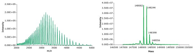 MS spectrum of intact adalimumab obtained during intact mass analysis