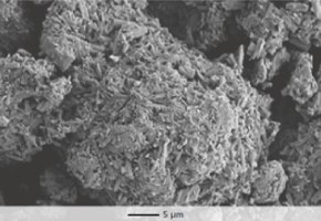 Parteck® M excipient enables tablets to be compacted at low compression forces. 