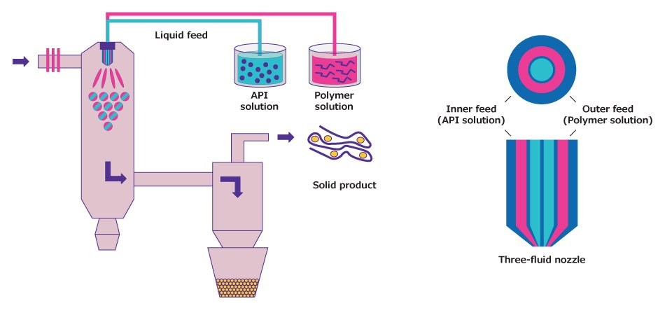 Schematic of the spray drying process.<sup>2</sup> In the spray drying process, the API and polymer are fed into drying chamber either in a single solvent (a two-fluid nozzle set-up), or via individual solvents in a three-fluid nozzle set-up. Droplets containing the API and polymer are formed at the tip of the nozzle in the drying chamber and dried through a stream of hot gas. The dry amorphous solid dispersion is captured in the collection vessel.