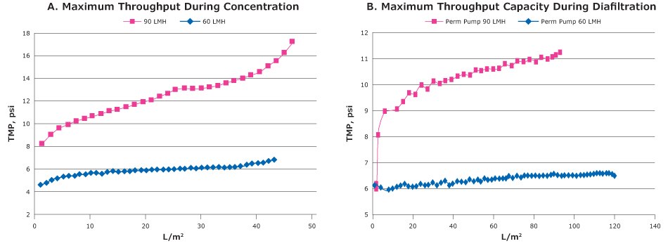 tangential flow filtration with clarified ChadOx2-RabG lysate tangential flow filtration with clarified ChadOx2-RabG lysate