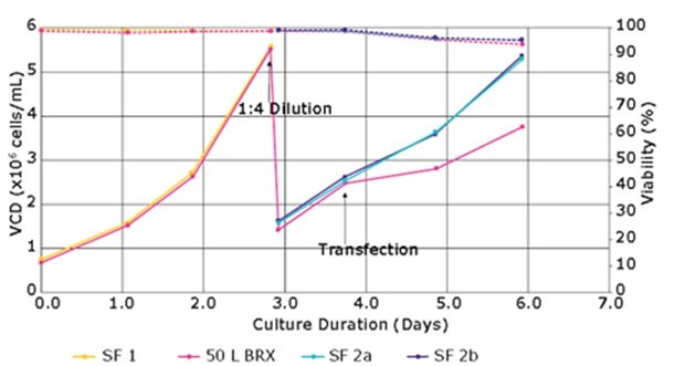 Lentivirus Production Run 2: cell growth (solid lines) and viability (dashed lines) profiles for VirusExpress<sup>®</sup> 293T cells in the cell expansion and virus production phases in a 50 L bioreactor (50 L BRX) or shake flask controls (SF 1, SF 2a, SF 2b). Cell growth and viability of VirusExpress® 293T cells in 50 L bioreactor versus shake flakes