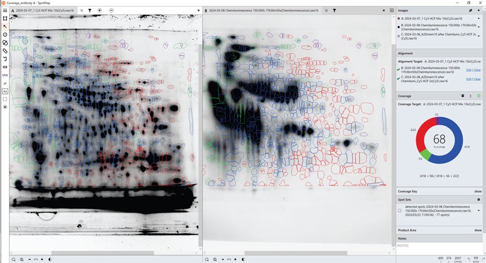 HCP coverage test with Anti-HCP antibody A. Total protein data obtained from the gel (pre-labelling, left), Western blot data with Anti-HCP antibody A (right). SpotMap version number: 5.1.003. HCP coverage test with Anti-HCP antibody A. Total protein data obtained from the gel (pre-labelling, left), Western blot data with Anti-HCP antibody A (right). SpotMap version number: 5.1.003.