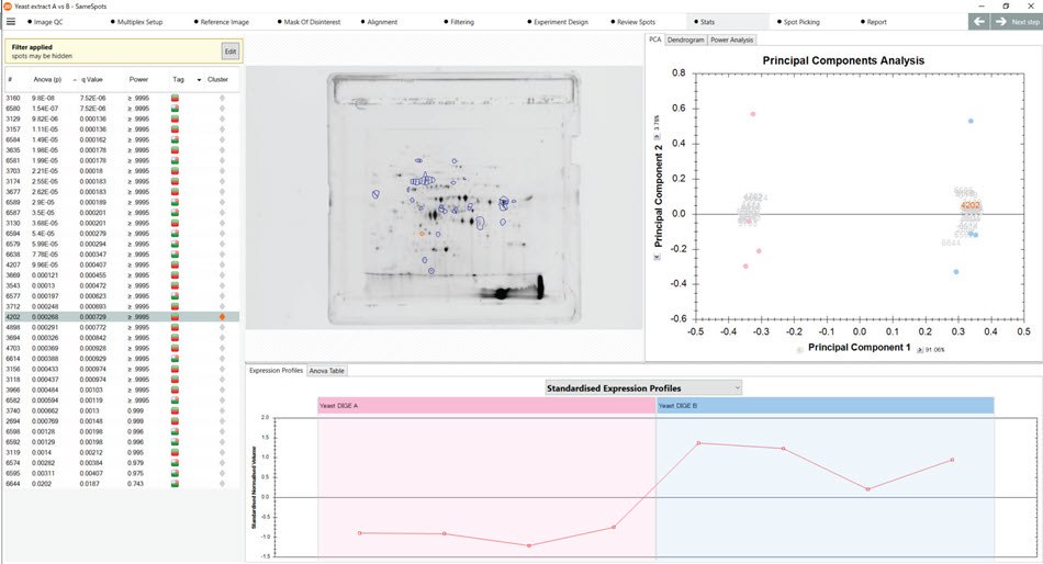 Principal component analysis suggests strong correlation between proteins that were upregulated in the Yeast B vs the Yeast A strain. Principal component analysis suggests strong correlation between proteins that were upregulated in the Yeast B vs the Yeast A strain.