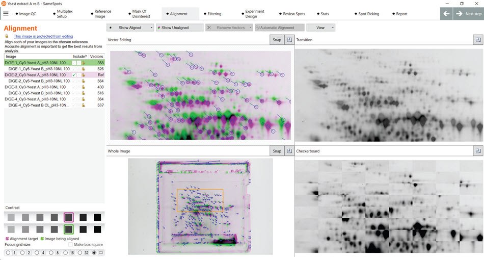 Subsequent analysis using the SameSpots software of the gels from figure 12 using the automatic alignment feature for spot matching without manual intervention (cropping/rotation/manual alignment) suggests robust and consistent spot detection. Subsequent analysis using the SameSpots software of the gels from figure 12 using the automatic alignment feature for spot matching without manual intervention (cropping/rotation/manual alignment) suggests robust and consistent spot detection.