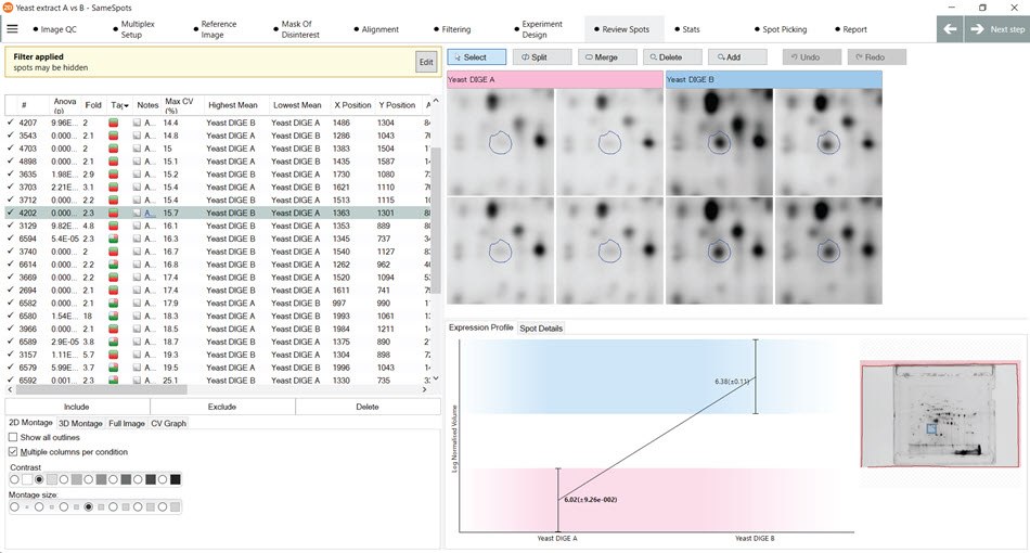 Demonstration of the “Quick Tags” feature in the SameSpots software that are used to identify spots with a user-configurable fold change in expression. Demonstration of the “Quick Tags” feature in the SameSpots software that are used to identify spots with a user-configurable fold change in expression