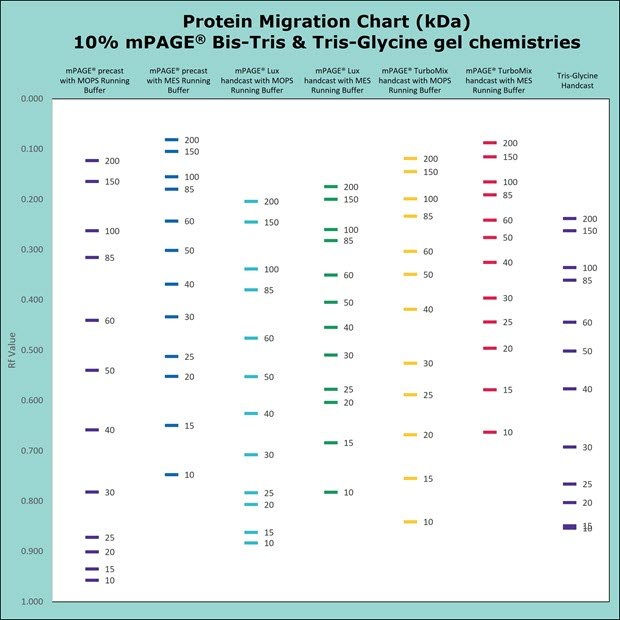 Protein migration chart for Bis-Tris and Tris-Glycine gel chemistries. The chart displays the migration for 10% gels: mPAGE Bis-Tris precast gel with MOPS & MES Running Buffer, mPAGE LUX Bis-Tris handcast gel with MOPS and MES Running Buffer, mPAGE TurboMix handcast gel with MOPS and MES Running Buffer, and Tris-Glycine handcast gels with Tris-Glycine Running Buffer. Moderate gel percentages such as 10 &12% are used for broad separation across the molecular range. Separation of proteins on Bis-Tris gels can be further optimized with the use of MES or MOPS running buffer. MOPS running buffer is preferred for separation of mid to high molecular weight proteins, while MES running buffer has advantages for separating mid to low molecular weight proteins.