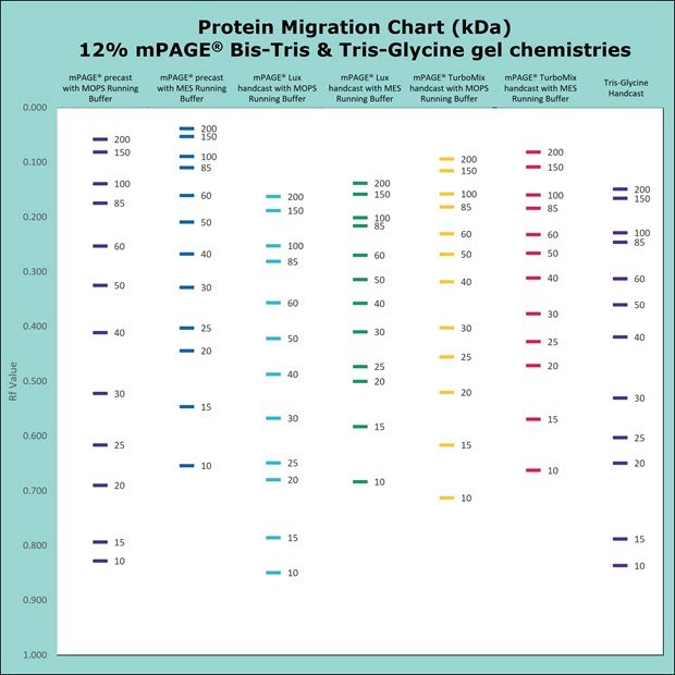 Protein migration chart for Bis-Tris and Tris-Glycine gel chemistries. The chart displays the migration for 12% gels: mPAGE Bis-Tris precast gel with MOPS & MES Running Buffer, mPAGE LUX Bis-Tris handcast gel with MOPS and MES Running Buffer, mPAGE TurboMix handcast gel with MOPS and MES Running Buffer, and Tris-Glycine handcast gels with Tris-Glycine Running Buffer. Moderate gel percentages such as 10 &12% are used for broad separation across the molecular range. Separation of proteins on Bis-Tris gels can be further optimized with the use of MES or MOPS running buffer. MOPS running buffer is preferred for separation of mid to high molecular weight proteins, while MES running buffer has advantages for separating mid to low molecular weight proteins.