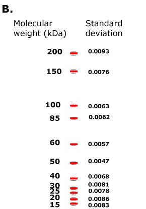 mPAGE® Lux Casting System reproducibility demonstrated through standard deviation calculations of relative migration distance mPAGE® Lux 캐스팅 시스템의 재현성은 같은 조건에서 운영되는 경우 각각의 네 개의 Bis-Tris 겔 단백질 밴드에 대한 무색 분자량 마커의 상대 이동 거리의 표준 편차 계산을 통해 보여집니다.