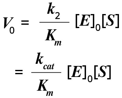 Initial Velocity (V0) Reaction Equation The equation to determine initial velocity (V0) of a reaction. V0 equals k subscript 2 divided by Km times the concentration of E subscript 0 times the concentration of S equals k subscript cat divided by Km times the concentration of E subscript 0 times the concentration of S.