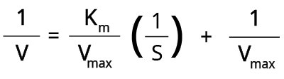 Lineweaver-Burk Double Reciprocal Plot Equation The equation for a Lineweaver-Burk double reciprocal plot. 1 divided by V equals Km divided by Vmax times 1 divided by S plus 1 divided by Vmax.