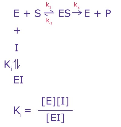 The equation for competitive inhibition calculations, including the variables for enzymes, substrates, inhibitors, and the inhibition constant. The equation for competitive inhibition calculations, including the variables for enzymes, substrates, inhibitors, and the inhibition constant.